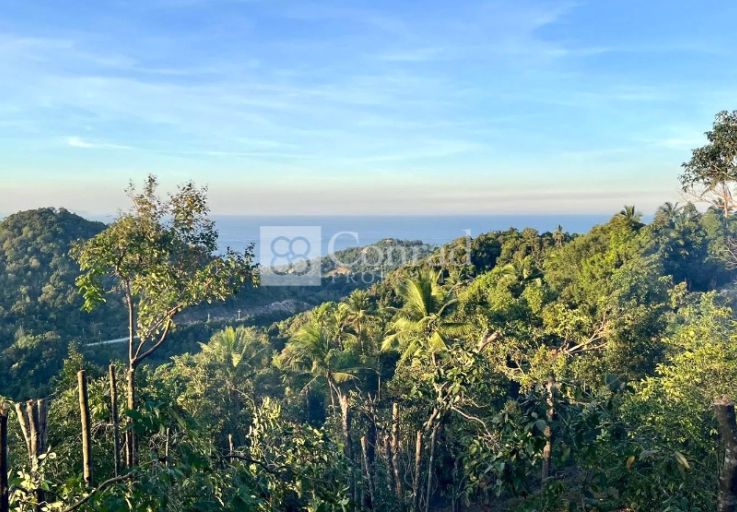 Luxury 2 Bedroom Garden Pool Villas in Koh Phangan